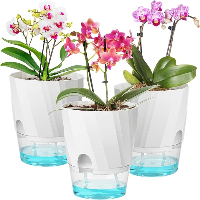 KIMCHOMERSE Self Watering Plant Pots, 6 Inch Plant Pots White, 6 Pack Flowers by KIMCHOMERSE