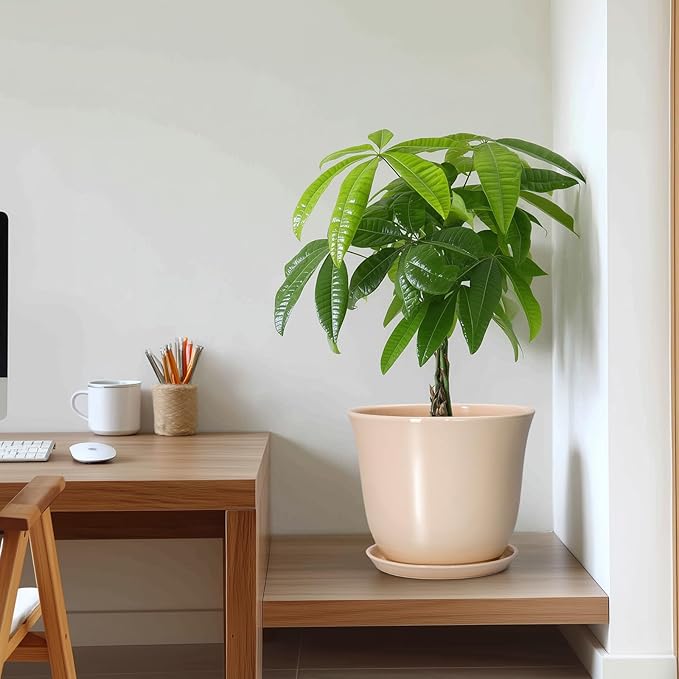 Ceramic Planter - Image 7