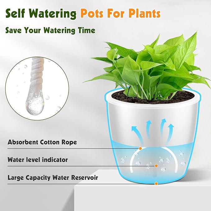 Self Watering Pots for Indoor Plants, Small African Violet Pots - Image 6