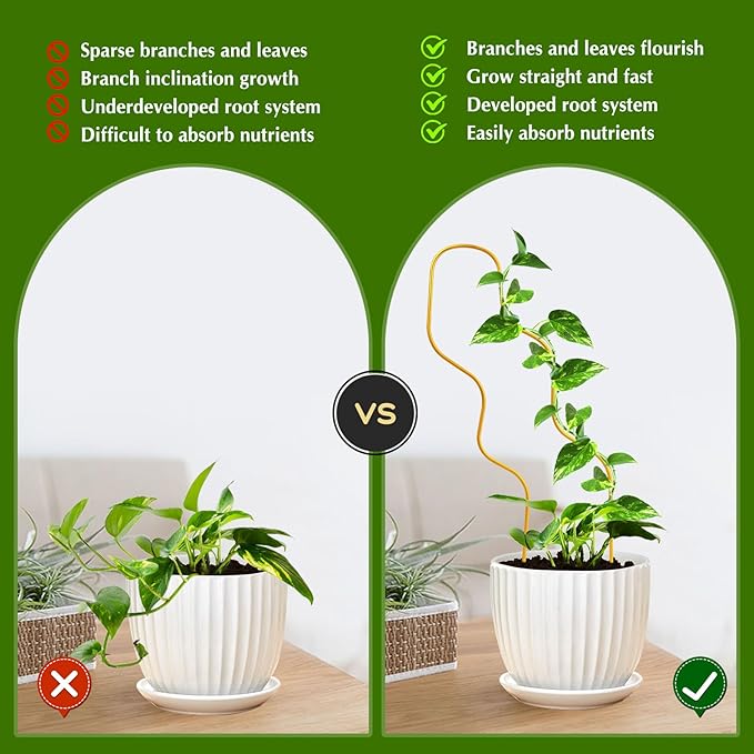13.4 Inch Indoor Plant Trellis for Climbing Plants, Metal Trellis, Small Garden - Image 3