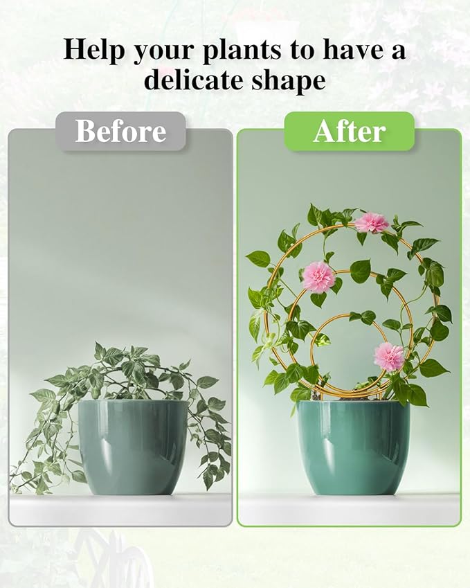 3 Pack Premium Round Plant Trellis Indoor, Small Metal Plant Support Stake - Image 6
