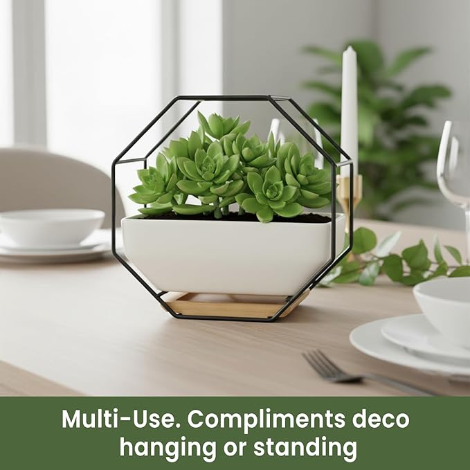 IRYL Wall Planter for Indoor Plants - Image 4