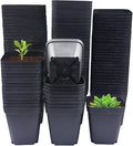 Square Nursery Pots 3" 120Pcs Deep Succulent Plastic Pots Small Flower Planter by RooTrimmer