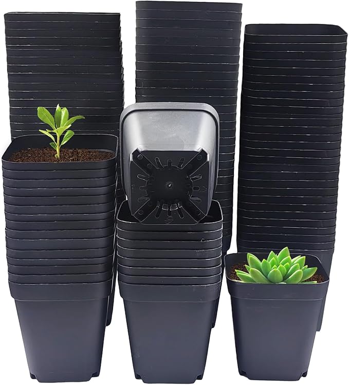 Square Nursery Pots 3" 120Pcs Deep Succulent Plastic Pots Small Flower Planter by RooTrimmer