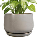 G EPGardening Ceramic Planter 9 Inch by GEPGardening