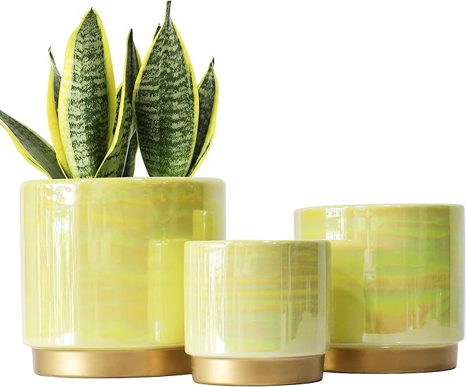 Gepege Indoor Pots for Plants, Ceramic Planter by Gepege