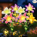 Solar Garden Lights 2 Pack by stadeco