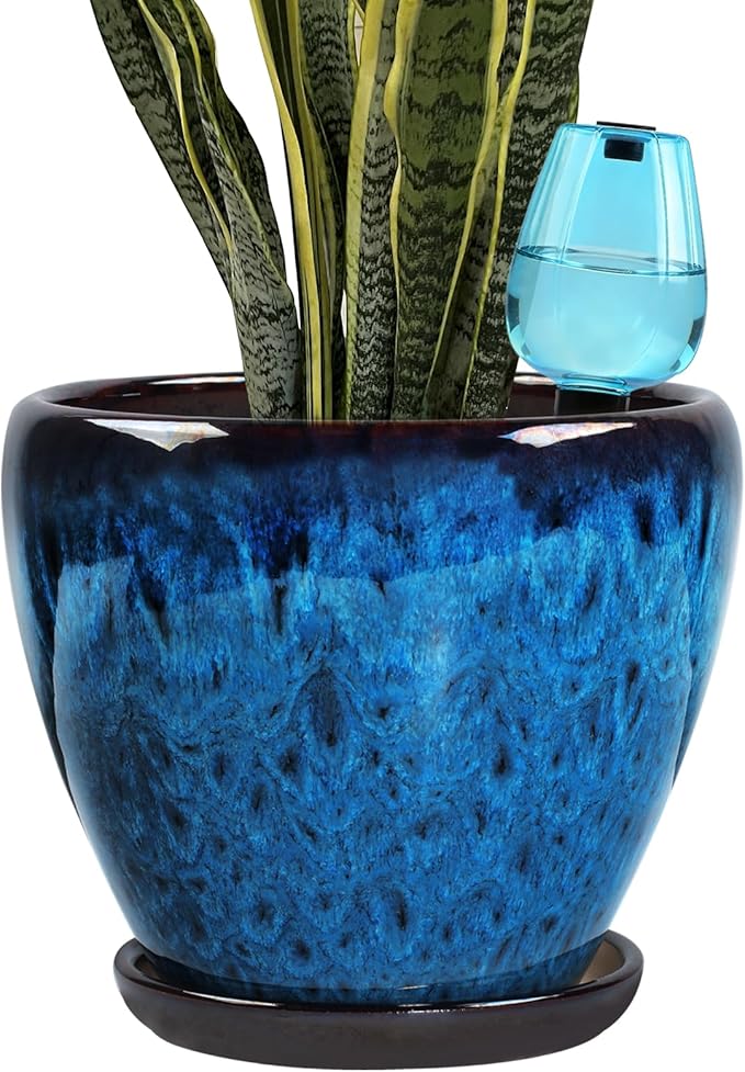 Ceramic Pots for Plant with Self Watering Globes, 10 inch Planters for Indoor by Xoogifae