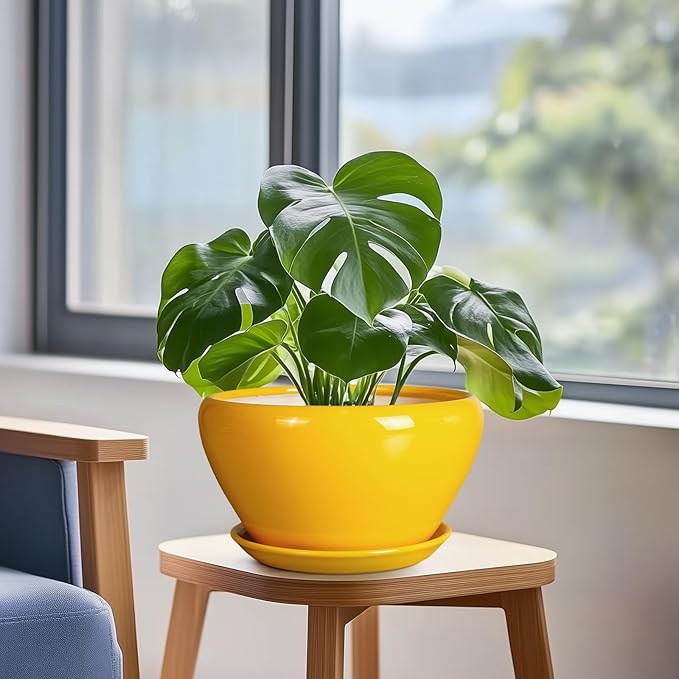 Ceramic Planter 9 Inch - Image 5