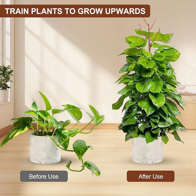 6 Pack Stackable Monstera Plant Support, Plant Stakes - Image 3