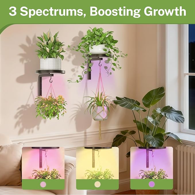 iDavosic.ly Wall Plant Holder - Image 5