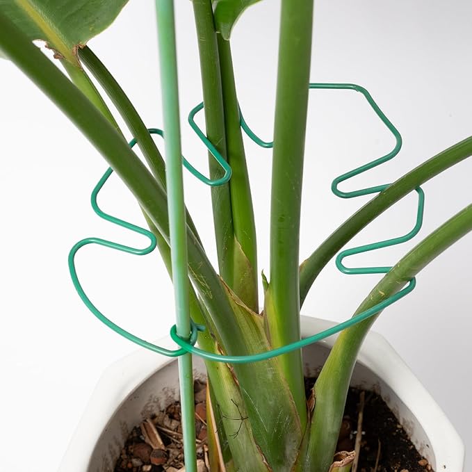 5PCS Monstera Plant Stem Support 7.3*6.25IN Adjustable Holder - Image 7