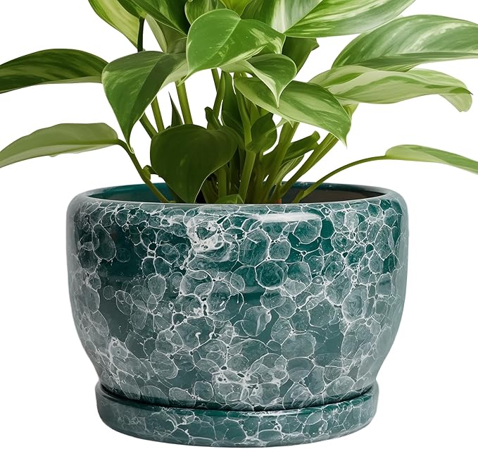 SQOWL 8 Inch Plant Pot by SQOWL