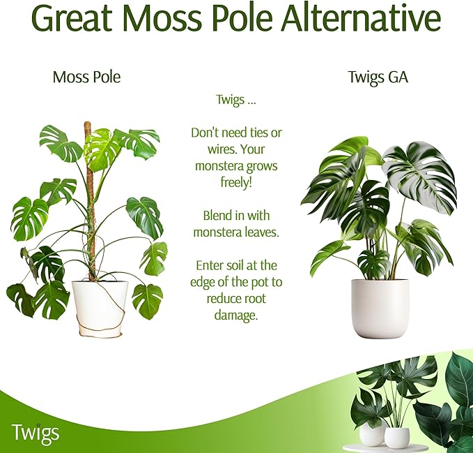 Stackable Monstera Plant Support Stakes, Climbing Support - Image 6