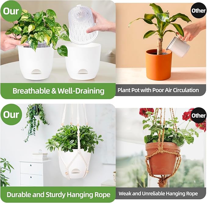 2-Pack 7.1-Inch Self-Watering Orchid Hanging planterS - Image 2