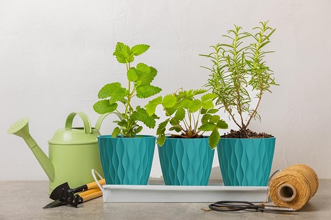 6 Inch Plant Pots, 6 Pack Indoor Flower Pots, Planters - Image 5