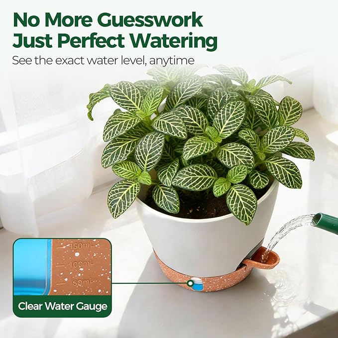 T4U 2 Pack 8 Inch Self Watering Pots - Image 7