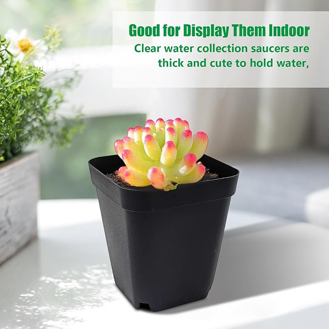 Square Nursery Pots 3" 120Pcs Deep Succulent Plastic Pots Small Flower Planter - Image 7