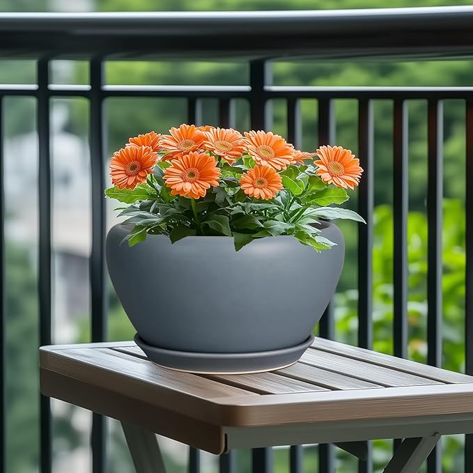 Ceramic Plant Pot - Image 4