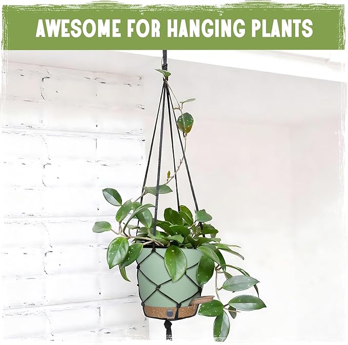 Self-Watering Pots for Indoor Plants 4 Pack, 6/8/10/12 Inch Outdoor Planters - Image 8