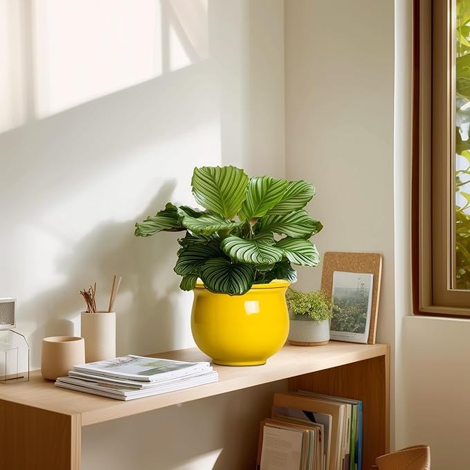 Ceramic Self Watering Planters, 6 Inch African Violet Pots - Image 7