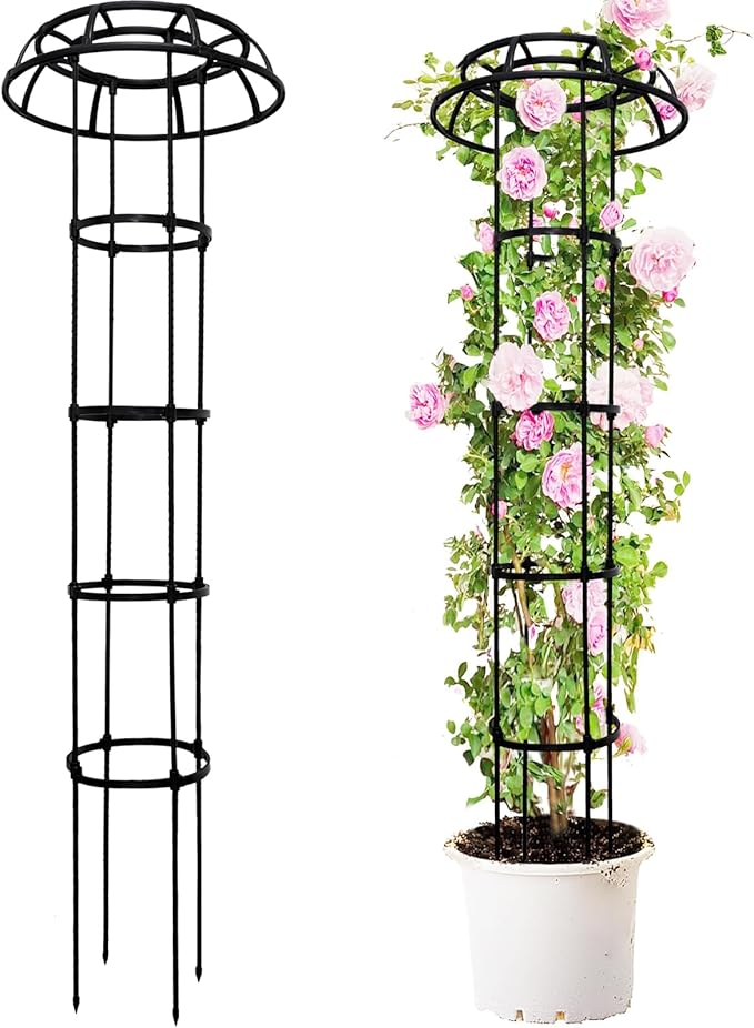 65-Inch Garden Trellis for Climbing Plants, Heavy-Duty Metal Obelisk by TCBWFY