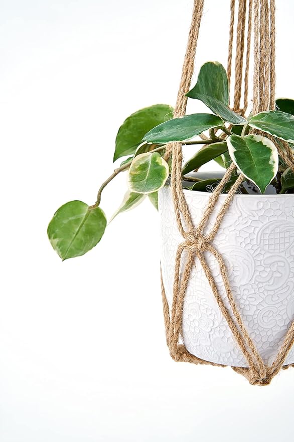 Dahey Macrame Plant Hanger Set of 3 - Image 5