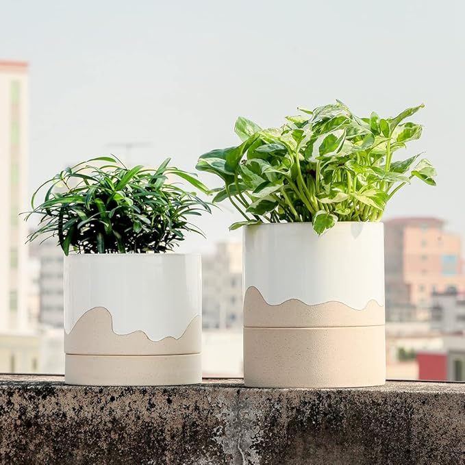 Nihow Ceramic Plant Pot: 6 Inch Planter - Image 5