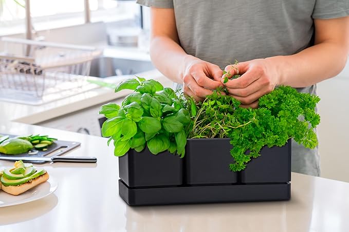 D'vine Dev Herb Garden Planter Set, Plastic Plant Pots - Image 4