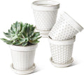 LE TAUCI Ceramic Plant Pots, 4.9 Inch Flower Pots by LETAUCI