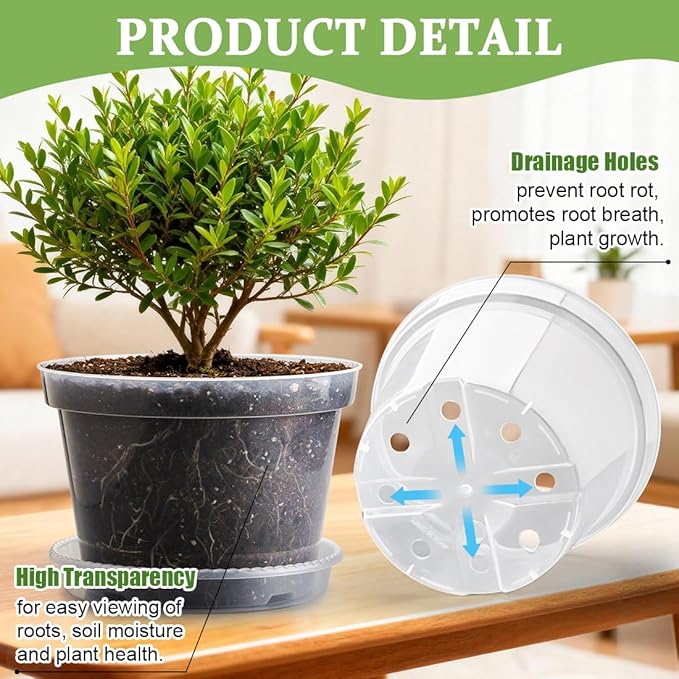 10 Pack 10 Inch Clear Nursery Pots - Image 3