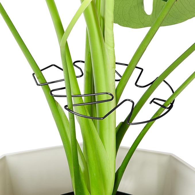 6PCS Iron Monstera Plant Support, Uniquely Designed Indoor Plant Accessories by Unknown