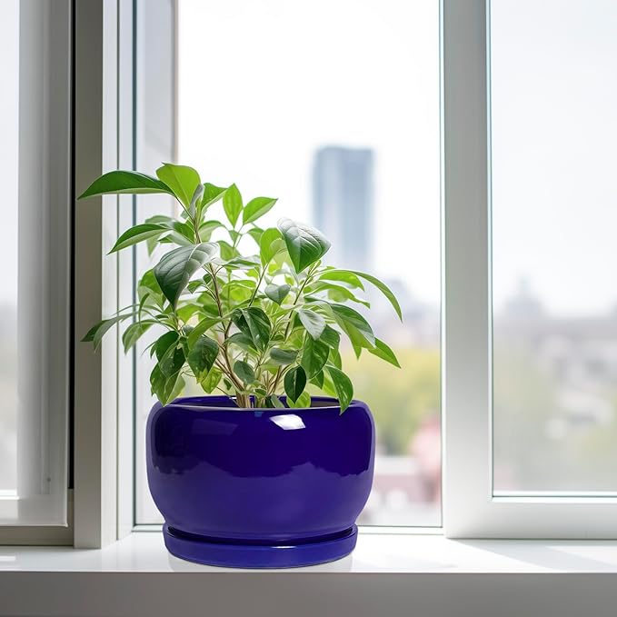 SQOWL Ceramic Plant Pot - Image 4
