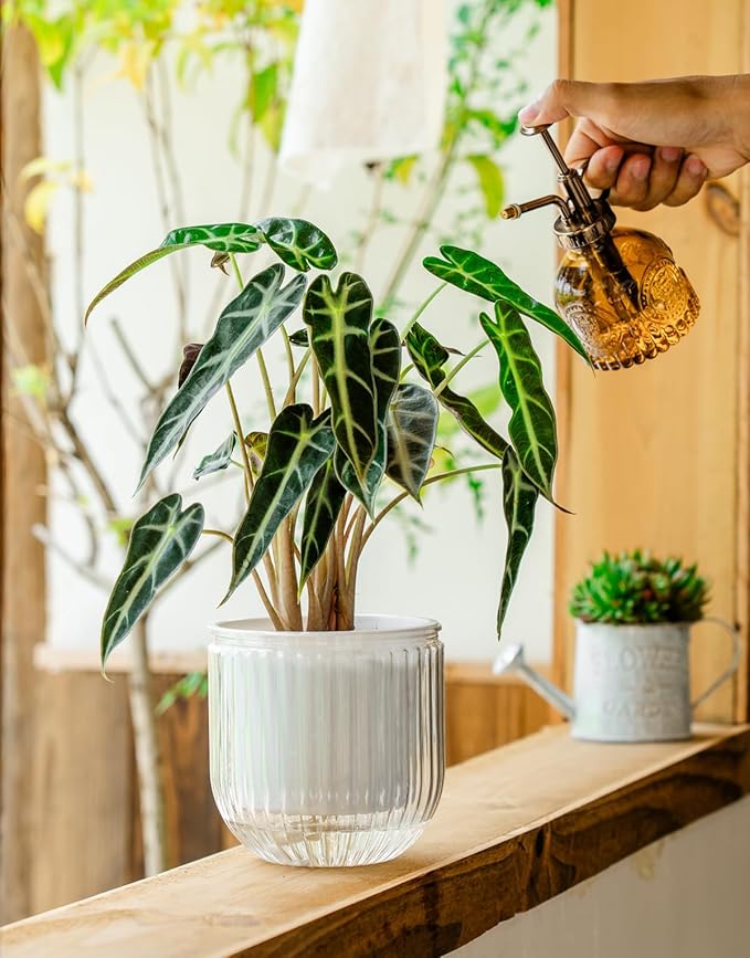 Melphoe Self Watering Pots for Indoor Plants Planter, 8.3/5.3 Inch 2 Pack - Image 5