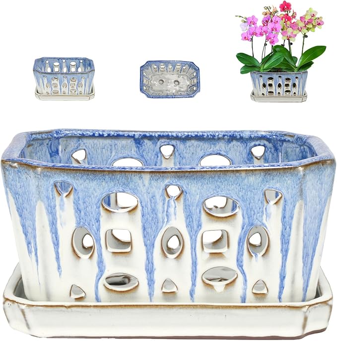 W&W Orchid Pot with Holes and Saucer by WWHomeDecor