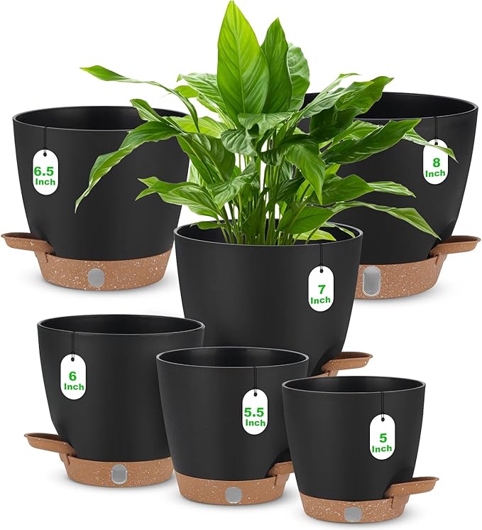Self Watering Planter Set with Visual Water Level, Modern 8+7+6.5+6+5.5+5 Inch by Ezmixcoop