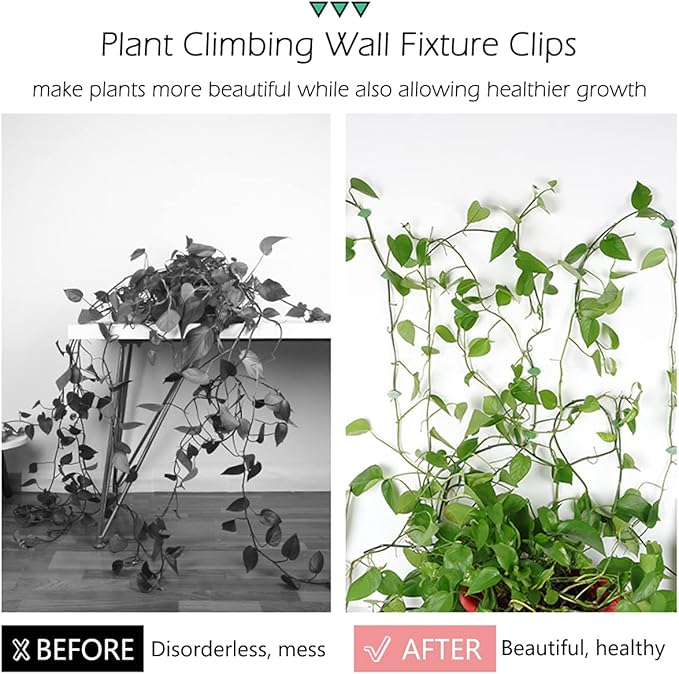 100 Pcs Plant Climbing Wall Fixture Clips Self-Adhesive Hook Vines Traction - Image 3