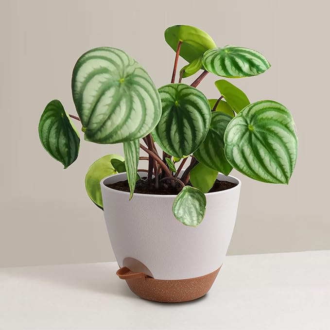 Plant Pots 12/10/9 inch Set of 3, Self Watering Flower Pots Indoor Outdoor - Image 6