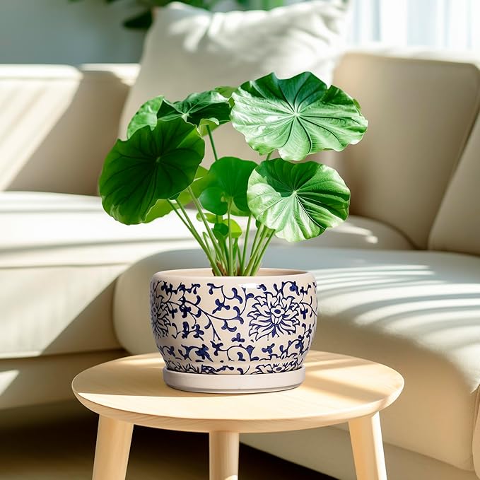 SQOWL Ceramic Planters for Indoor Plants - Image 2