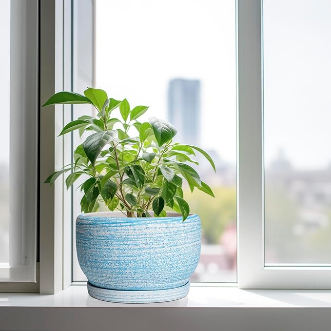 SQOWL Ceramic Plant Pots - Image 4