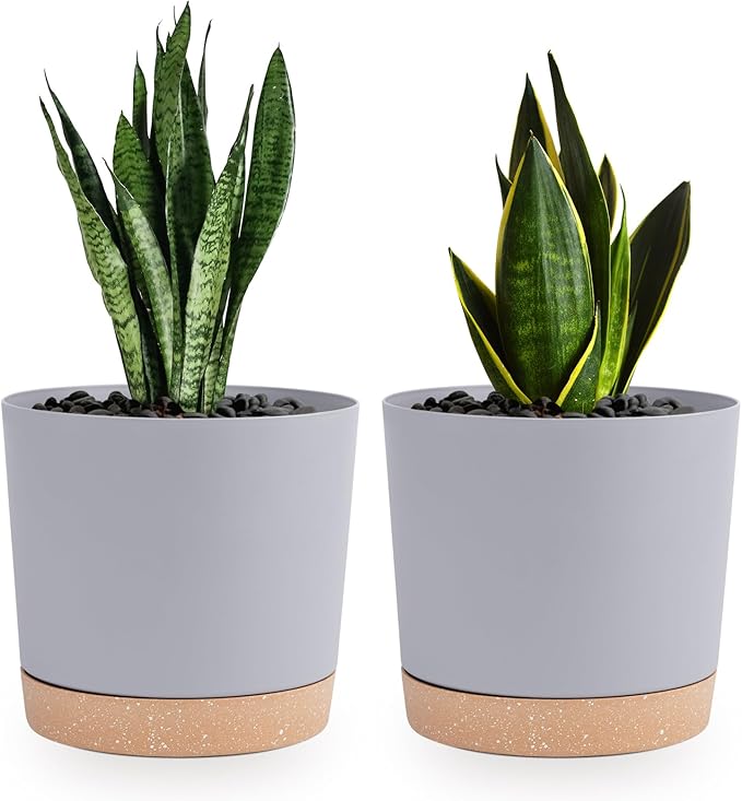 QCQHDU 6.5 inch Plant Pot, 2 Pack Planters by QCQHDU