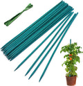 Garden Wood Plant Stakes Green Bamboo Sticks, HAINANSTRY Sturdy Floral Plant by HAINANSTRY