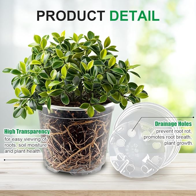 100 Pack 4 Inch Clear Plant pots - Image 3