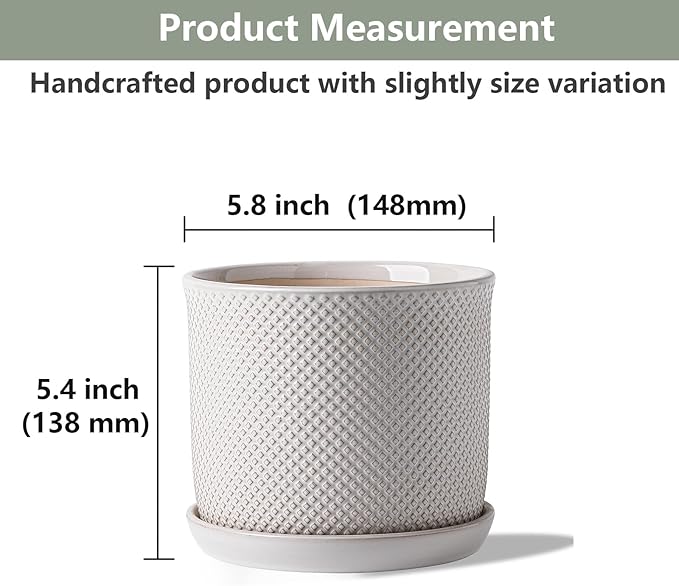 5.8 Inch Plant Pot: Ceramic Planter - Image 2