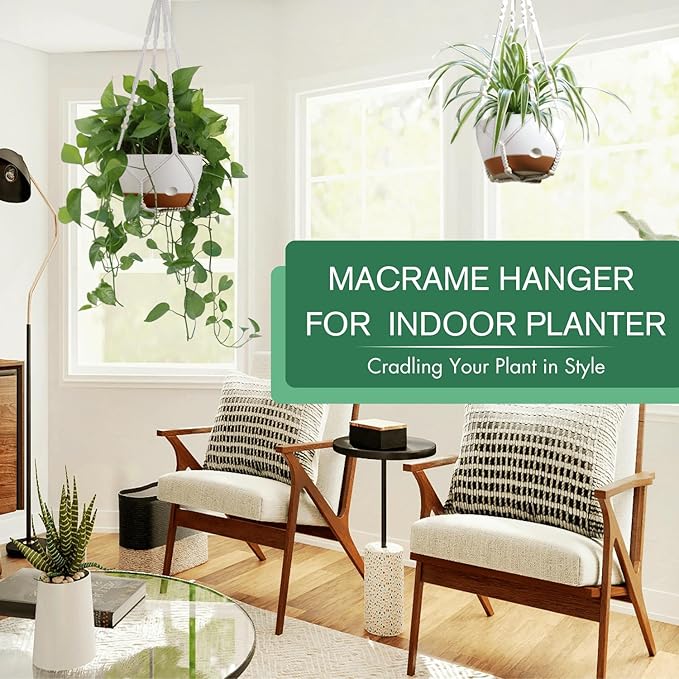 montresor Set of 2-8 Inch Hanging Planters - Image 2