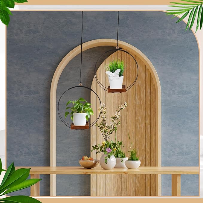 Geelin 2 Pack Plant Hanger - Image 4