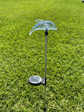 Solar Garden Stake Lights with Color Changing LED or Regular White LED by Ntertainment+House