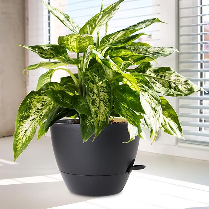 10/9/8 inch Medium Self Watering Pots, Plant Pots - Image 6