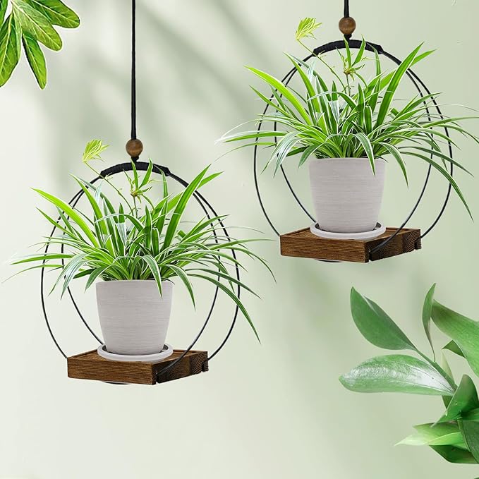 Hanging Planter for Indoor Plants, Plant Hanger - Image 4
