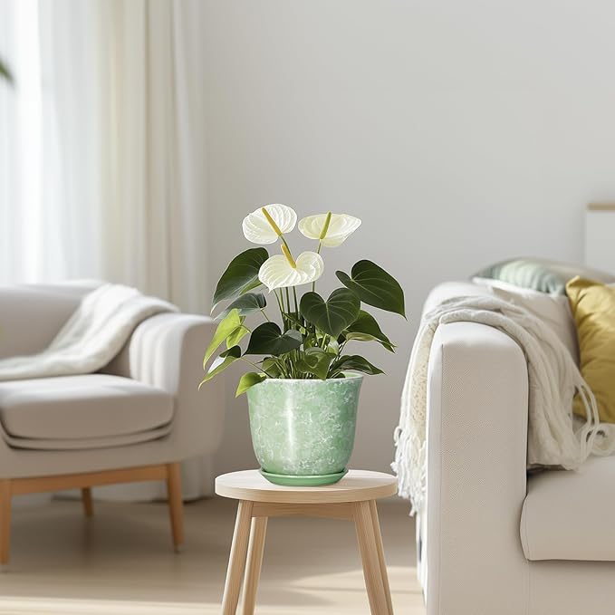Ceramic Plant Pots - Image 7